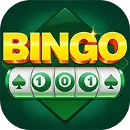 Bingo 101 Game